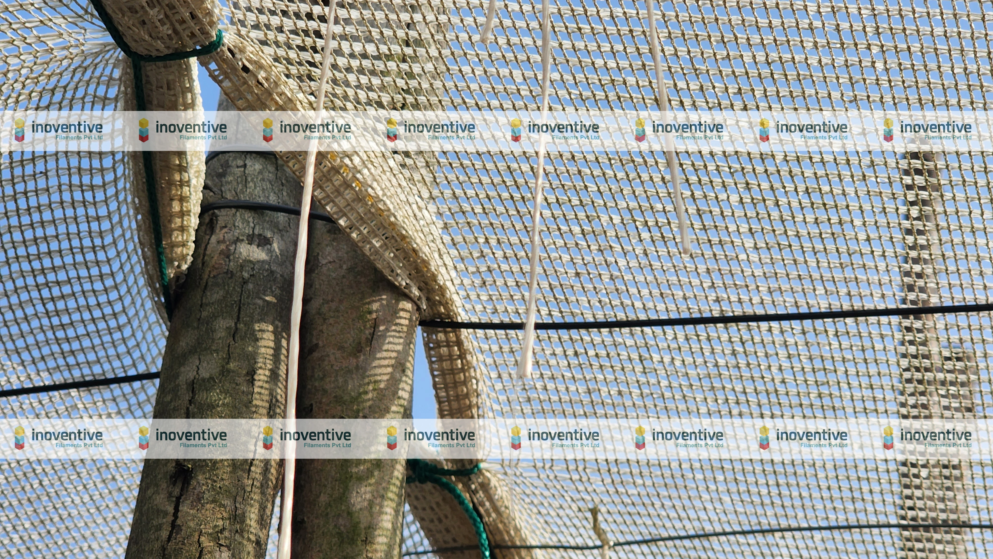 Polyhouse and Greenhouse